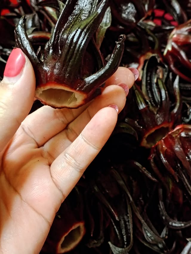The making of Tuak Roselle.new batch may 2026