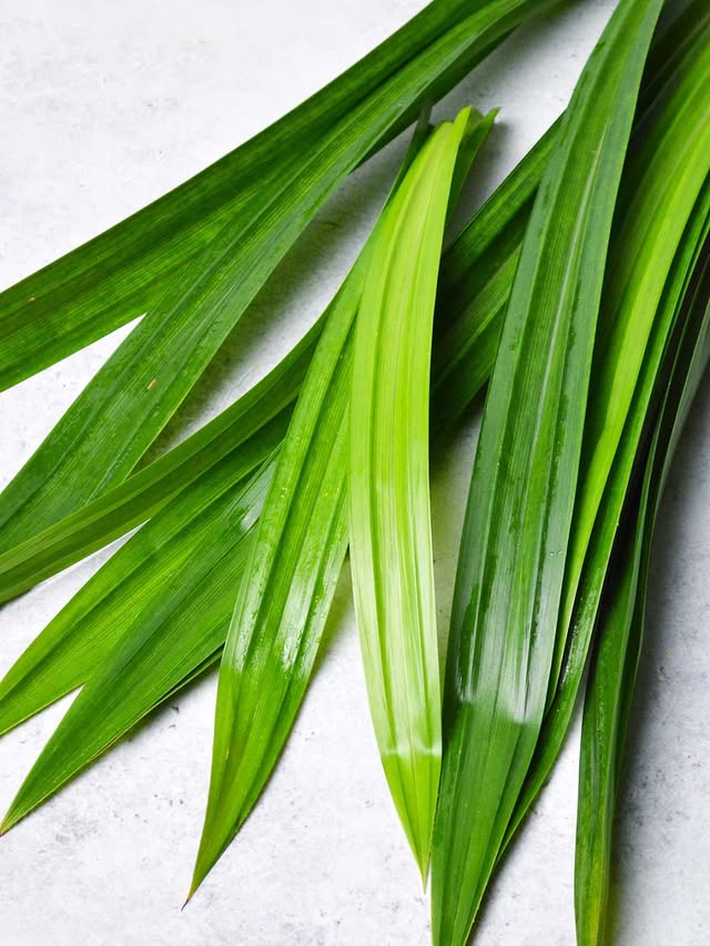 New batch New flavors  Tuak Pandan on progress Our 10 flavours for 2026