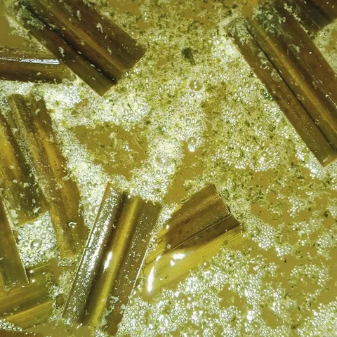 Tuak pandan active with yeast.
